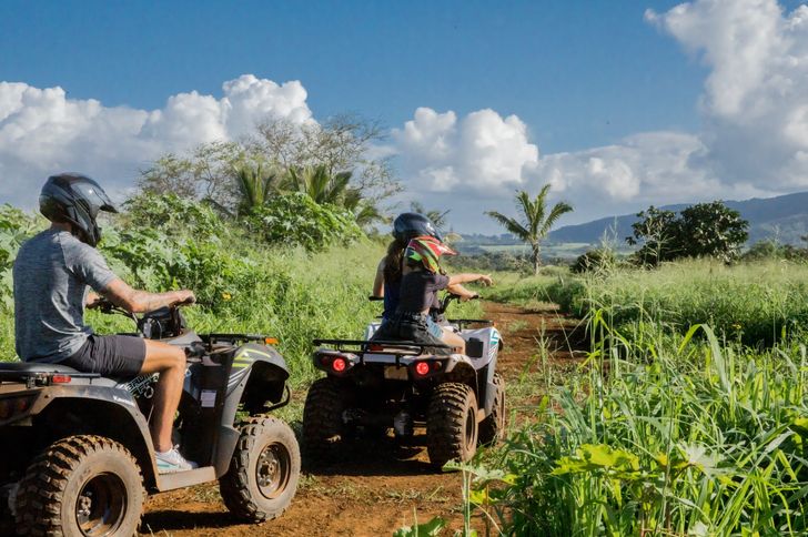 Beachfront ATV & Native Plant Experience - Image 2