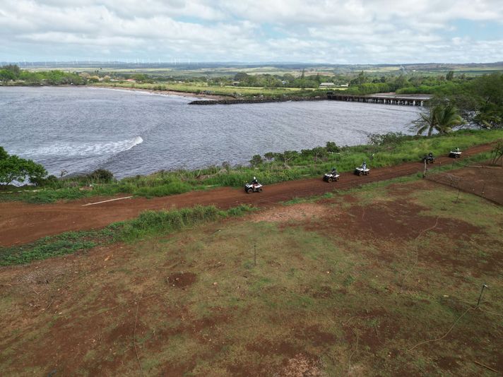 Beachfront ATV & Native Plant Experience - Image 3