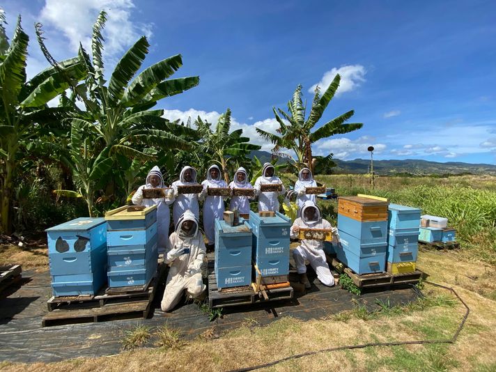 Oahu Bee Farm Tour & Honey Tasting