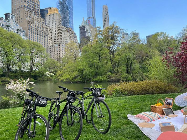 Private Central Park Bike Tour & Luxurious Picnic - Image 2