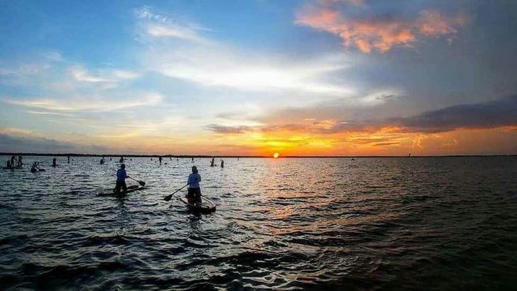Bioluminescence Paddle Tour - Image 2