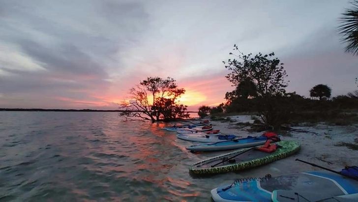 Bioluminescence Paddle Tour - Image 3