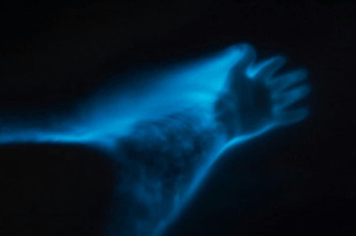 Bioluminescence Paddle Tour - Image 4