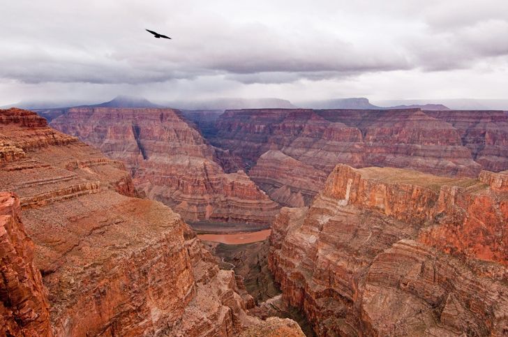 Sunset Helicopter Tour with Canyon Landing & Champagne - Image 3