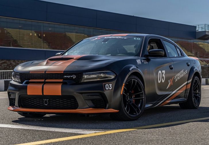 Dallas Merry Christmas Collection - Image 7