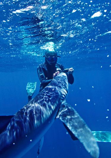 Blue & Mako Shark Offshore Expedition - Image 2