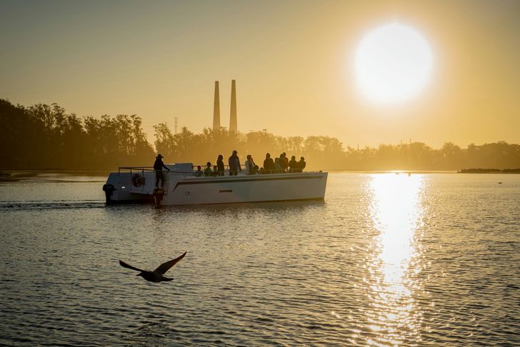 BYOB Elkhorn Slough Electric Catamaran Eco Tour at Sunset - Image 2