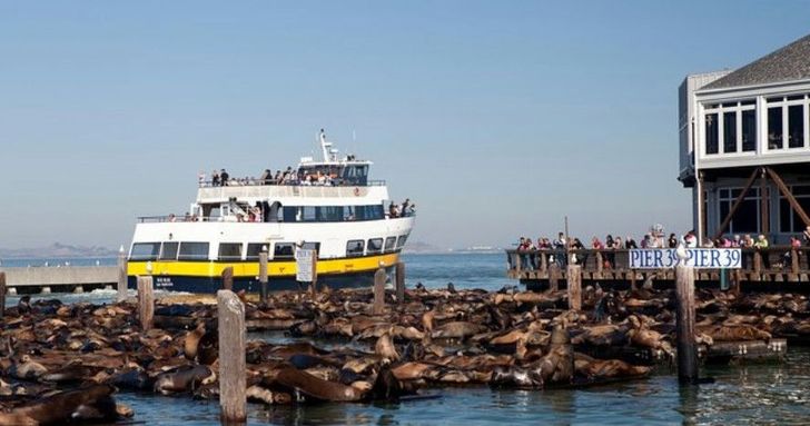 Bay Cruise with 7D Roller Coaster & Thrilling Flyer Experience Package - Image 3