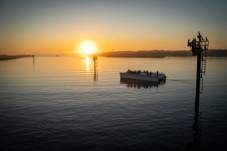 BYOB Elkhorn Slough Electric Catamaran Eco Tour at Sunset