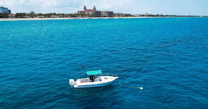 Private Peanut Island Boat & Snorkel Tour - Image 3