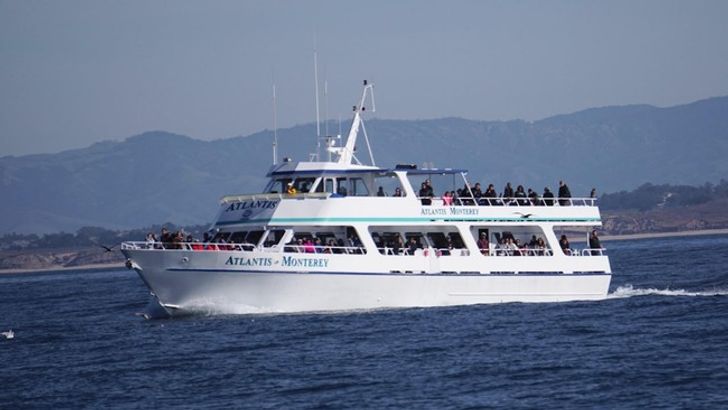 Monterey Whale Watching Cruise - Image 2