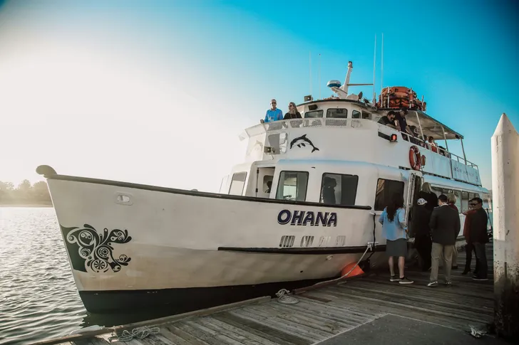 Sunset Cruise with VIP Seating on the Captain's Bridge