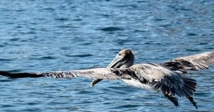 BYOB Private Sand Bar and Sandy Hook Cruise