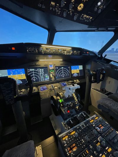 Boeing 737 Max Economy Flight Simulator Experience - Image 4