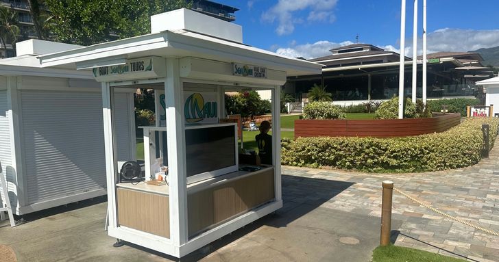 Afternoon Snorkel in Maui - Image 7