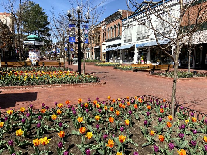 Boulder Highlights Private Walking Tour