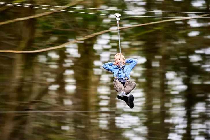 Arlington Kids Treetop Journey with Go Ape