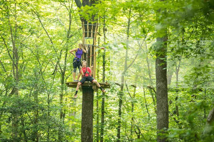 Arlington Zipline & Treetop Adventure with Go Ape - Image 5