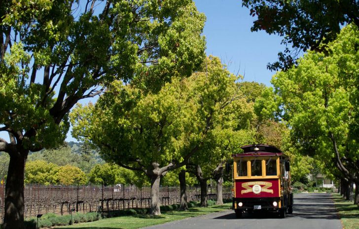 Napa Valley Wine Trolley Castle Tour with Lunch - Image 7