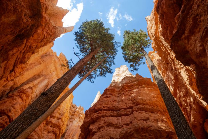 Bryce & Zion National Park Overnight Camping Tour from Las Vegas - Image 6