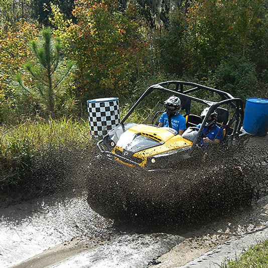 Guided Buggy Adventure in Clermont - Image 8