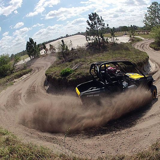 Guided Buggy Adventure in Clermont - Image 5