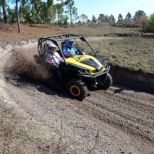 Guided Buggy Adventure in Clermont - Image 2