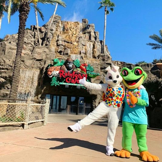 Rainforest Cafe Gift Card - Image 3