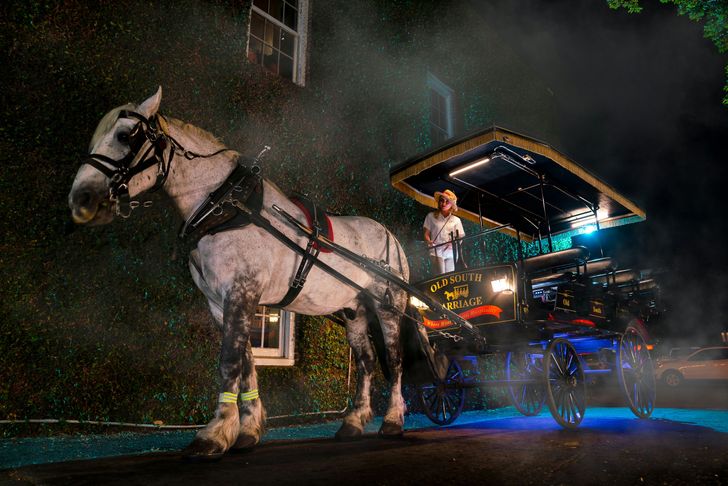 Charleston Harbor Tour and Haunted Carriage Tour - Image 2