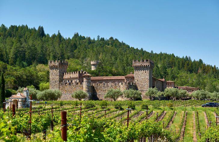 Napa Wine Tour From San Francisco - Image 2