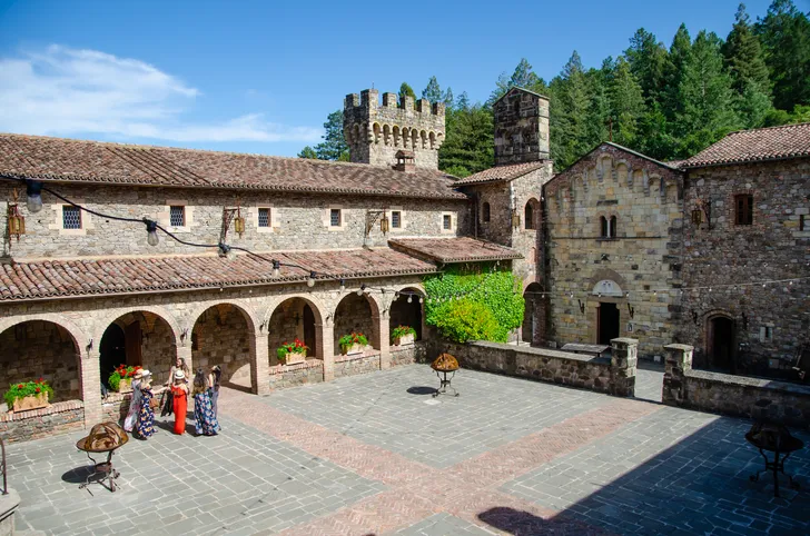 Redwoods and California Wine Country Tour with Gourmet Lunch