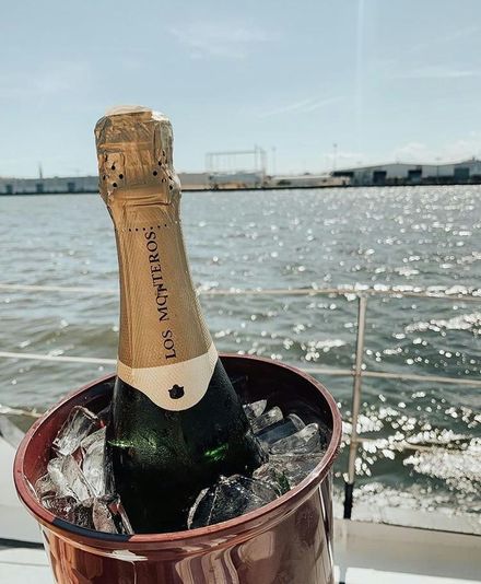 Daytime Dolphin Sail in Charleston - Image 3