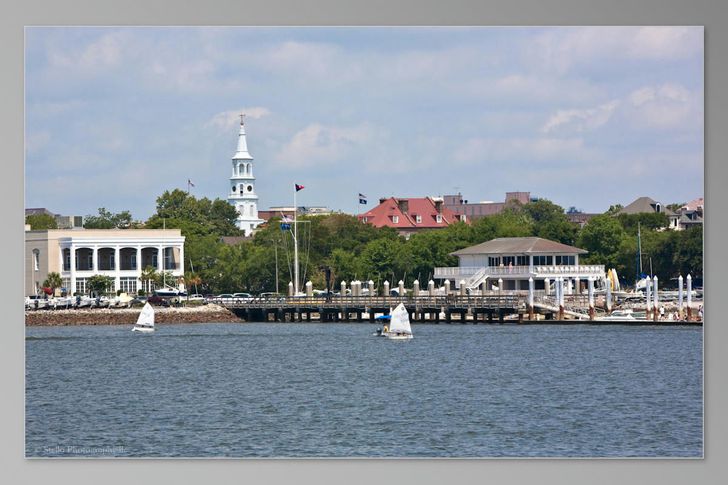 Charleston Harbor Tour and Carriage Tour - Image 6