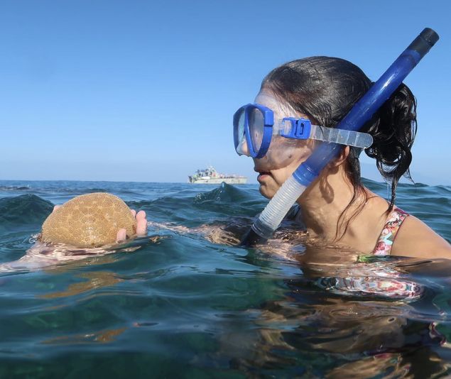 Makena South Maui Snorkeling Tour - Image 3