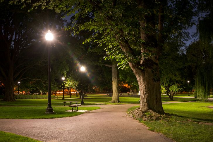 Cheesman Park Ghost Tour - Image 3
