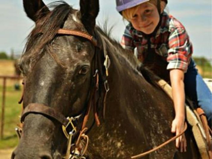 Kids Pony Ride - Image 3