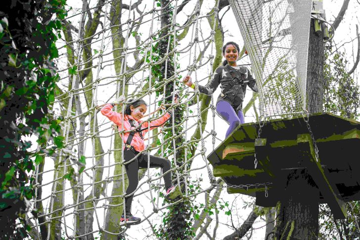 Memphis Kids Treetop Journey with Go Ape
