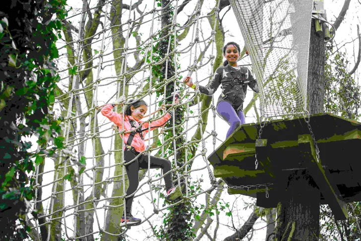 Memphis Kids Treetop Journey with Go Ape