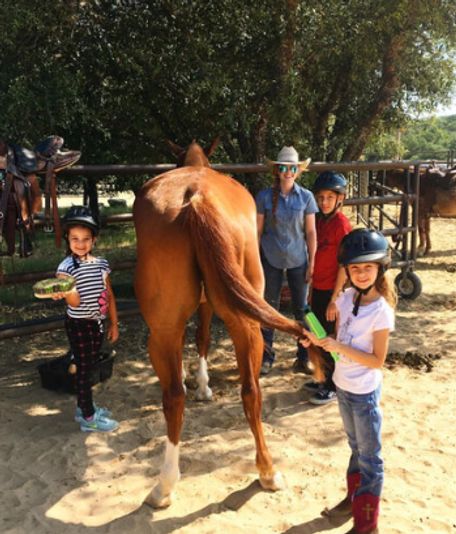 Kids Horseback Riding Lesson & Trail Ride - Image 2