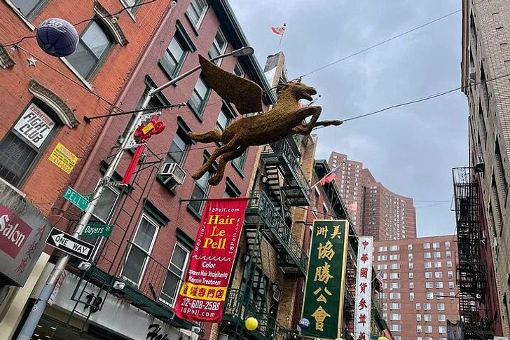 Chinatown New York Walking Food Tour - Image 5