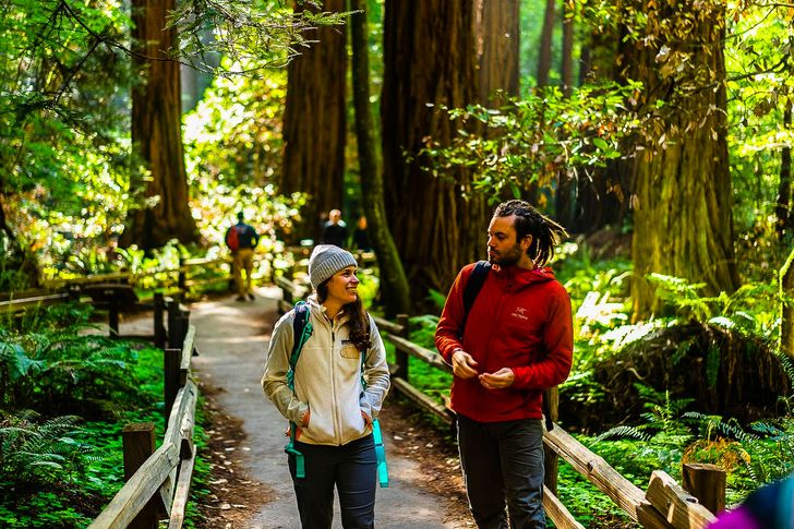 Full Day Muir Woods Tour with Napa & Sonoma Valley Wine Tastings - Image 3