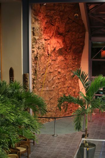 Boston Indoor Rock Climbing - Image 3