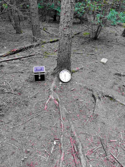 Chicago Forest Escape Game with Go Ape - Image 2