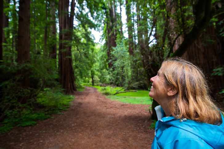 Redwoods & California Wine Country Tour with Gourmet Lunch - Image 9