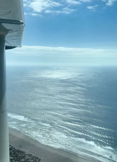 Oregon Coast Plane Tour - Image 3