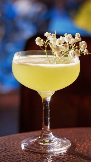 Private Speakeasy Cocktail Making Class in Midtown East - Image 10