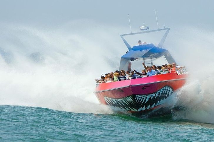 Codzilla Thrill-boat Ride in Boston - Image 1