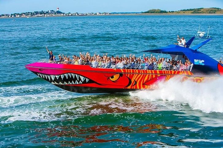 Codzilla Thrill-boat Ride in Boston - Image 3