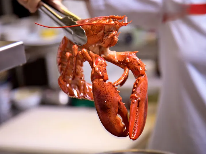 Sizzling Cajun Dishes At Home Cooking Class in Nashville