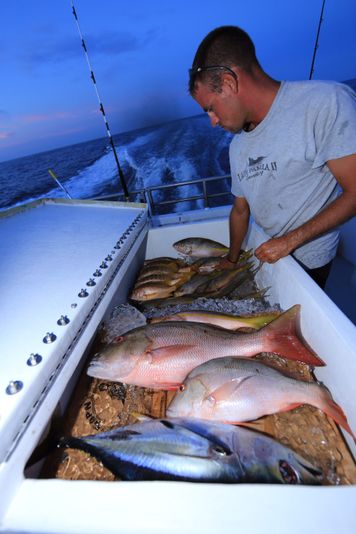 BYOB Night Snapper Fishing Trip - Image 3